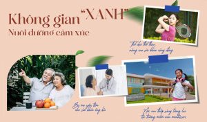 Alana City Xanh